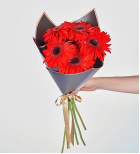 Kırmızı Gerbera Çiçek Buketi